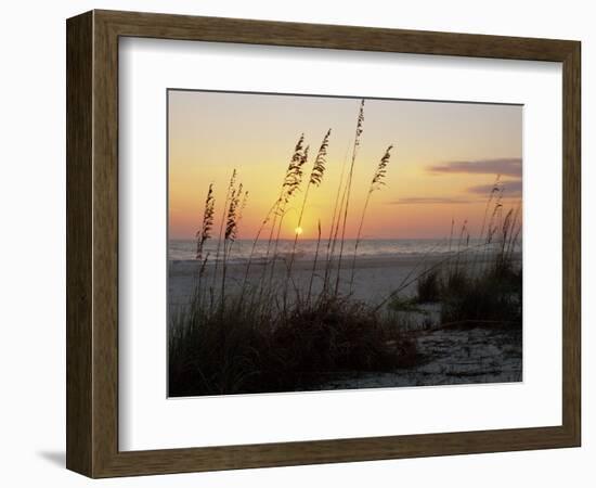 Sunset, Gulf Coast, Longboat Key, Anna Maria Island, Beach, Florida, USA-Fraser Hall-Framed Photographic Print