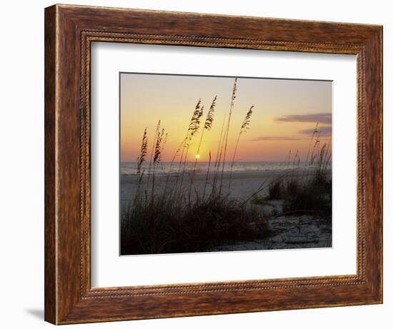 Sunset, Gulf Coast, Longboat Key, Anna Maria Island, Beach, Florida, USA-Fraser Hall-Framed Photographic Print