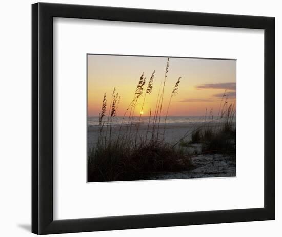 Sunset, Gulf Coast, Longboat Key, Anna Maria Island, Beach, Florida, USA-Fraser Hall-Framed Photographic Print