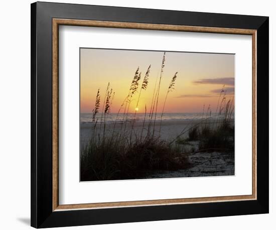 Sunset, Gulf Coast, Longboat Key, Anna Maria Island, Beach, Florida, USA-Fraser Hall-Framed Photographic Print