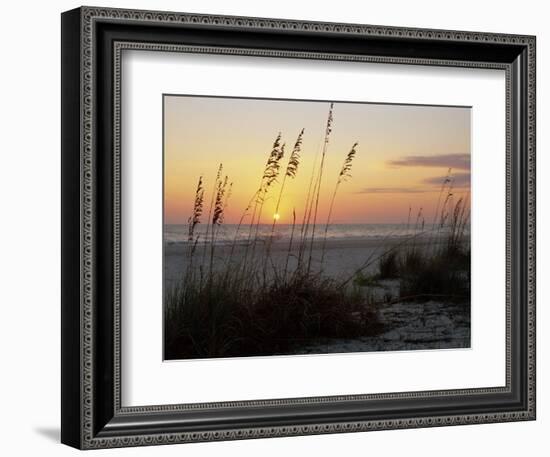 Sunset, Gulf Coast, Longboat Key, Anna Maria Island, Beach, Florida, USA-Fraser Hall-Framed Photographic Print