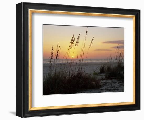 Sunset, Gulf Coast, Longboat Key, Anna Maria Island, Beach, Florida, USA-Fraser Hall-Framed Photographic Print