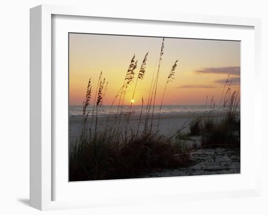 Sunset, Gulf Coast, Longboat Key, Anna Maria Island, Beach, Florida, USA-Fraser Hall-Framed Photographic Print