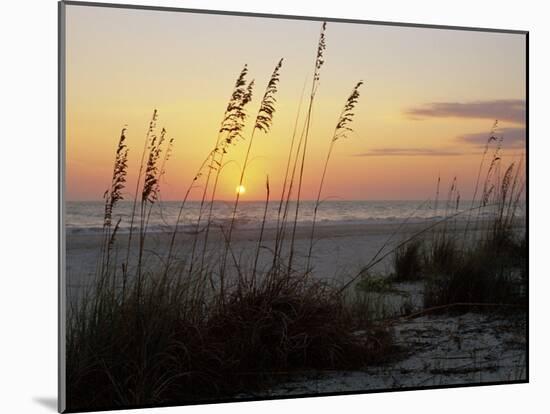 Sunset, Gulf Coast, Longboat Key, Anna Maria Island, Beach, Florida, USA-Fraser Hall-Mounted Photographic Print