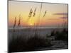 Sunset, Gulf Coast, Longboat Key, Anna Maria Island, Beach, Florida, USA-Fraser Hall-Mounted Photographic Print
