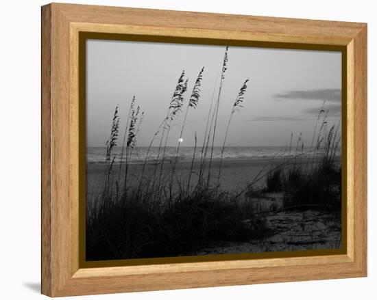 Sunset, Gulf Coast, Longboat Key, Anna Maria Island, Beach, Florida, USA-Fraser Hall-Framed Premier Image Canvas