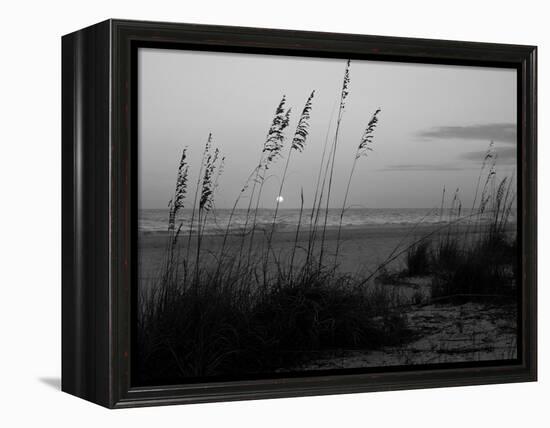 Sunset, Gulf Coast, Longboat Key, Anna Maria Island, Beach, Florida, USA-Fraser Hall-Framed Premier Image Canvas