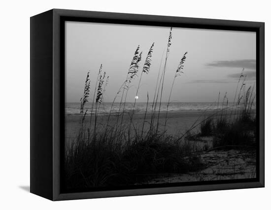 Sunset, Gulf Coast, Longboat Key, Anna Maria Island, Beach, Florida, USA-Fraser Hall-Framed Premier Image Canvas