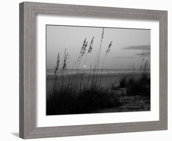 Sunset, Gulf Coast, Longboat Key, Anna Maria Island, Beach, Florida, USA-Fraser Hall-Framed Photographic Print