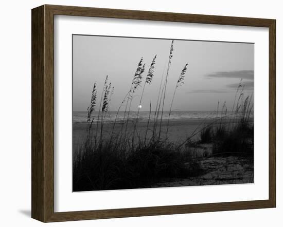 Sunset, Gulf Coast, Longboat Key, Anna Maria Island, Beach, Florida, USA-Fraser Hall-Framed Photographic Print