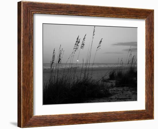 Sunset, Gulf Coast, Longboat Key, Anna Maria Island, Beach, Florida, USA-Fraser Hall-Framed Photographic Print