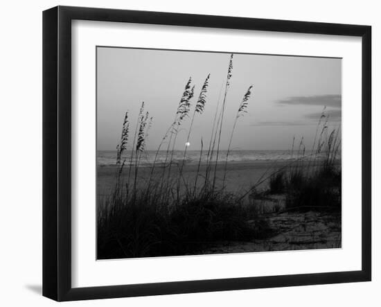 Sunset, Gulf Coast, Longboat Key, Anna Maria Island, Beach, Florida, USA-Fraser Hall-Framed Photographic Print