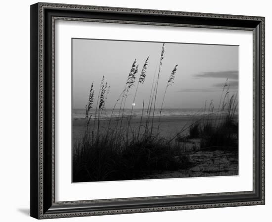 Sunset, Gulf Coast, Longboat Key, Anna Maria Island, Beach, Florida, USA-Fraser Hall-Framed Photographic Print