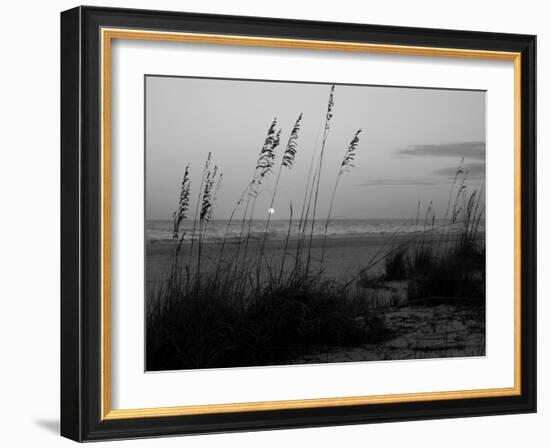 Sunset, Gulf Coast, Longboat Key, Anna Maria Island, Beach, Florida, USA-Fraser Hall-Framed Photographic Print