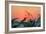 Sunset Gull and Fronds-Robert Goldwitz-Framed Photographic Print