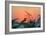 Sunset Gull and Fronds-Robert Goldwitz-Framed Photographic Print