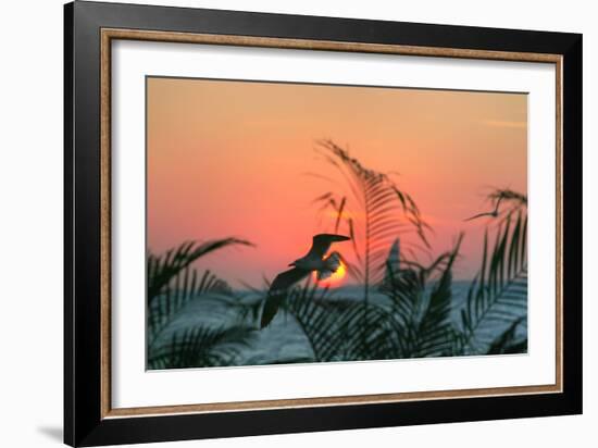 Sunset Gull and Fronds-Robert Goldwitz-Framed Photographic Print