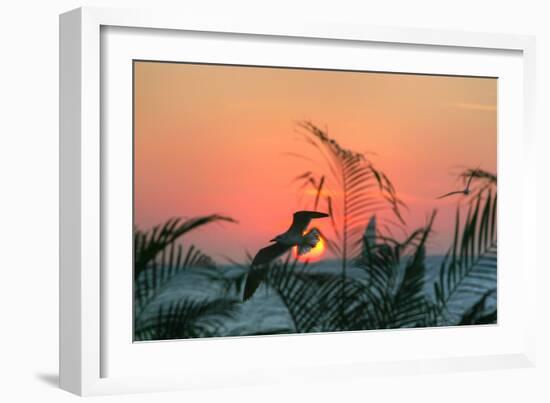 Sunset Gull and Fronds-Robert Goldwitz-Framed Photographic Print