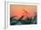 Sunset Gull and Fronds-Robert Goldwitz-Framed Photographic Print