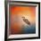 Sunset Heron-Jai Johnson-Framed Giclee Print