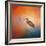 Sunset Heron-Jai Johnson-Framed Giclee Print