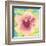 Sunset Hibiscus I-Beverly Dyer-Framed Art Print