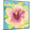 Sunset Hibiscus I-Beverly Dyer-Mounted Art Print