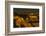 Sunset, Hopi Point, South Rim, Grand Canyon NP, Arizona, USA-Michel Hersen-Framed Photographic Print