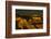 Sunset, Hopi Point, South Rim, Grand Canyon NP, Arizona, USA-Michel Hersen-Framed Photographic Print