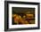 Sunset, Hopi Point, South Rim, Grand Canyon NP, Arizona, USA-Michel Hersen-Framed Photographic Print