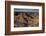 Sunset, Hopi Point, South Rim, Grand Canyon NP, Arizona, USA-Michel Hersen-Framed Photographic Print