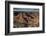 Sunset, Hopi Point, South Rim, Grand Canyon NP, Arizona, USA-Michel Hersen-Framed Photographic Print