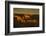 Sunset, Hopi Point, South Rim, Grand Canyon NP, Arizona, USA-Michel Hersen-Framed Photographic Print