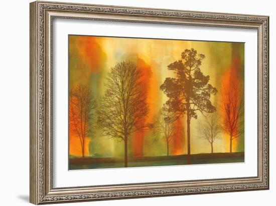 Sunset I-Chris Donovan-Framed Art Print