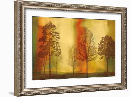 Sunset II-Chris Donovan-Framed Art Print