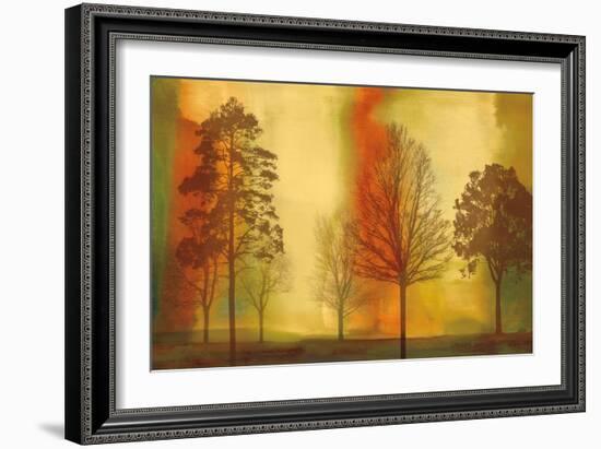 Sunset II-Chris Donovan-Framed Art Print