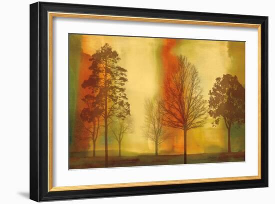 Sunset II-Chris Donovan-Framed Art Print