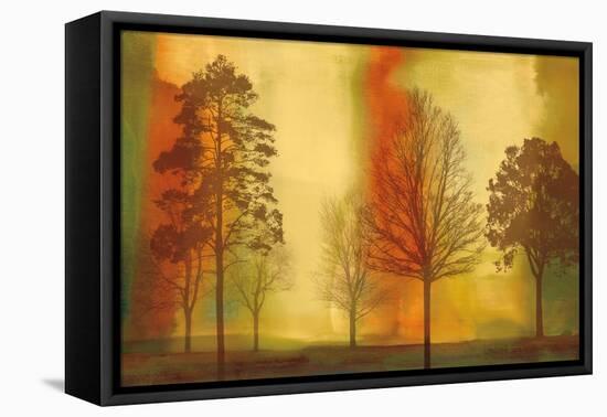 Sunset II-Chris Donovan-Framed Stretched Canvas