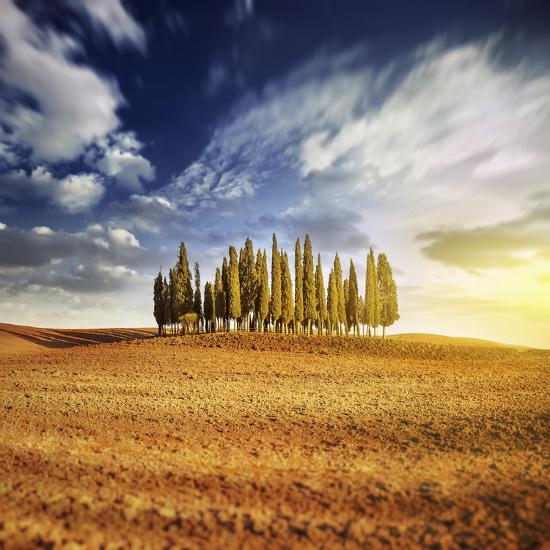 Photographic Print, , large
