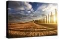 Stretched Canvas Print