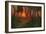 Sunset in a Wooded Landscape (Oil on Panel)-Adrian Scott Stokes-Framed Giclee Print