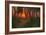 Sunset in a Wooded Landscape (Oil on Panel)-Adrian Scott Stokes-Framed Giclee Print