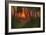 Sunset in a Wooded Landscape (Oil on Panel)-Adrian Scott Stokes-Framed Giclee Print