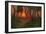 Sunset in a Wooded Landscape (Oil on Panel)-Adrian Scott Stokes-Framed Giclee Print