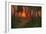 Sunset in a Wooded Landscape (Oil on Panel)-Adrian Scott Stokes-Framed Giclee Print