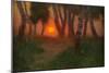 Sunset in a Wooded Landscape (Oil on Panel)-Adrian Scott Stokes-Mounted Giclee Print