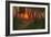 Sunset in a Wooded Landscape (Oil on Panel)-Adrian Scott Stokes-Framed Giclee Print