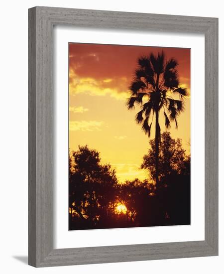 Sunset in Botswana-Stuart Westmorland-Framed Photographic Print