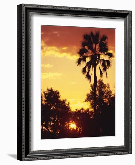 Sunset in Botswana-Stuart Westmorland-Framed Photographic Print