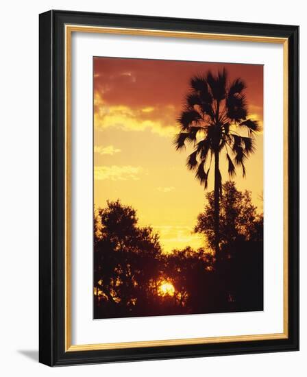 Sunset in Botswana-Stuart Westmorland-Framed Photographic Print